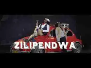 Video: WCB WASAFI (Diamond Platnumz, Rayvanny, Rich Mavoko, Harmonize, Lava Lava, Queen Darleen, Maromboso) - ZILIPENDWA